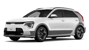 Niro Ev Service